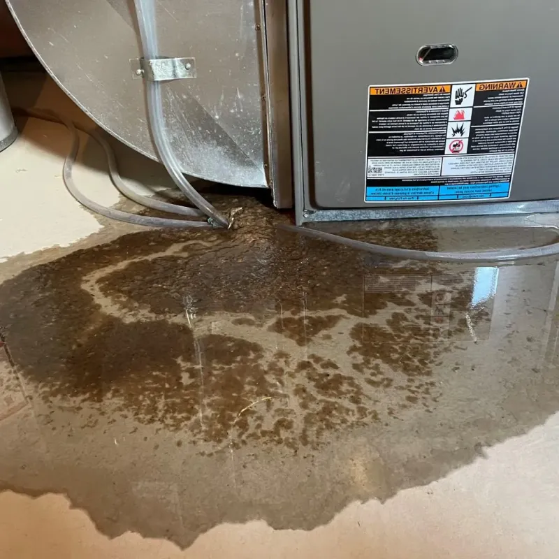 Pipe Burst and Leak Restoration in Lyndhurst, OH