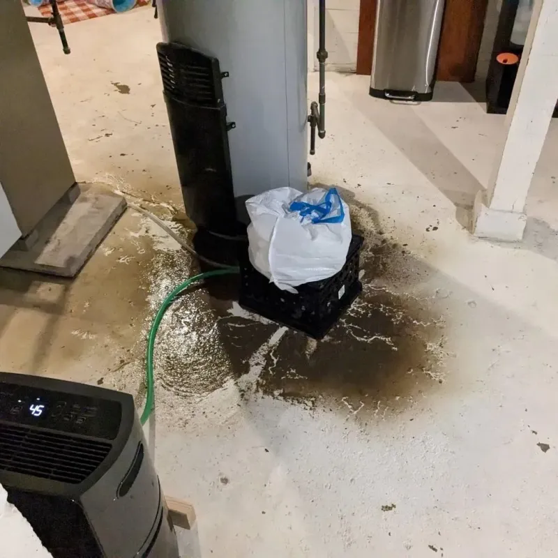 Sewage Backup Cleanup Service in Lyndhurst, OH
